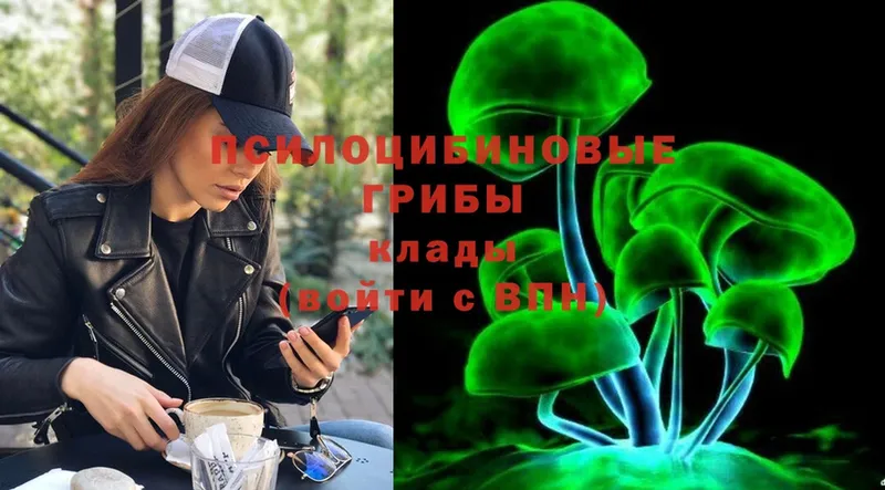 МЕГА ТОР  Выкса  Псилоцибиновые грибы Magic Shrooms  купить наркотики сайты 